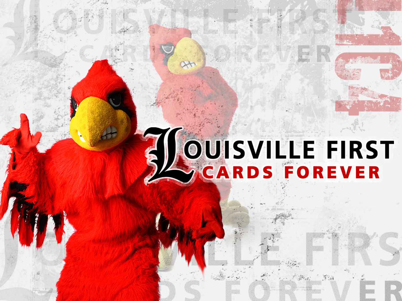 Louisville First…Cards Forever | Cardinal Sports Zone